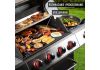 Plynový gril dragon BBQ201, 18,8 kW, strieborný
